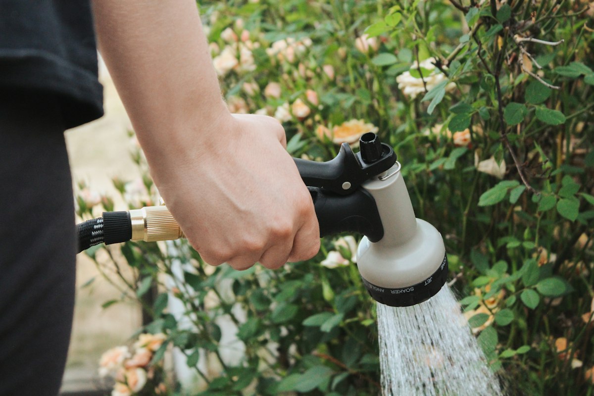 Grüner, gepflegter Garten mit Blumen und Pflanzen
