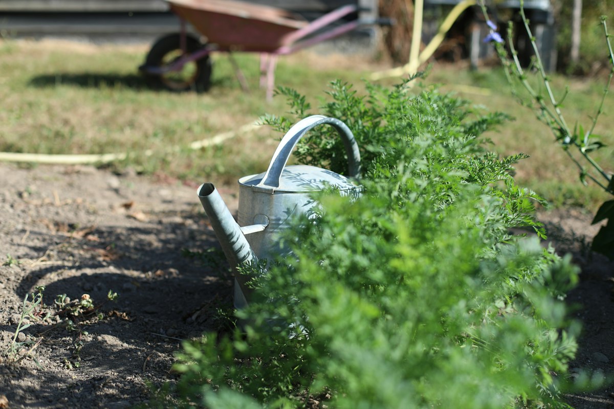Gartenpflege-Werkzeuge und Ausrüstung